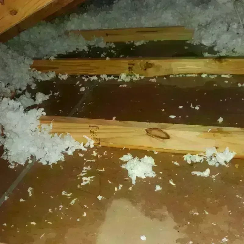 Attic Water Damage in Bayshore Gardens, FL