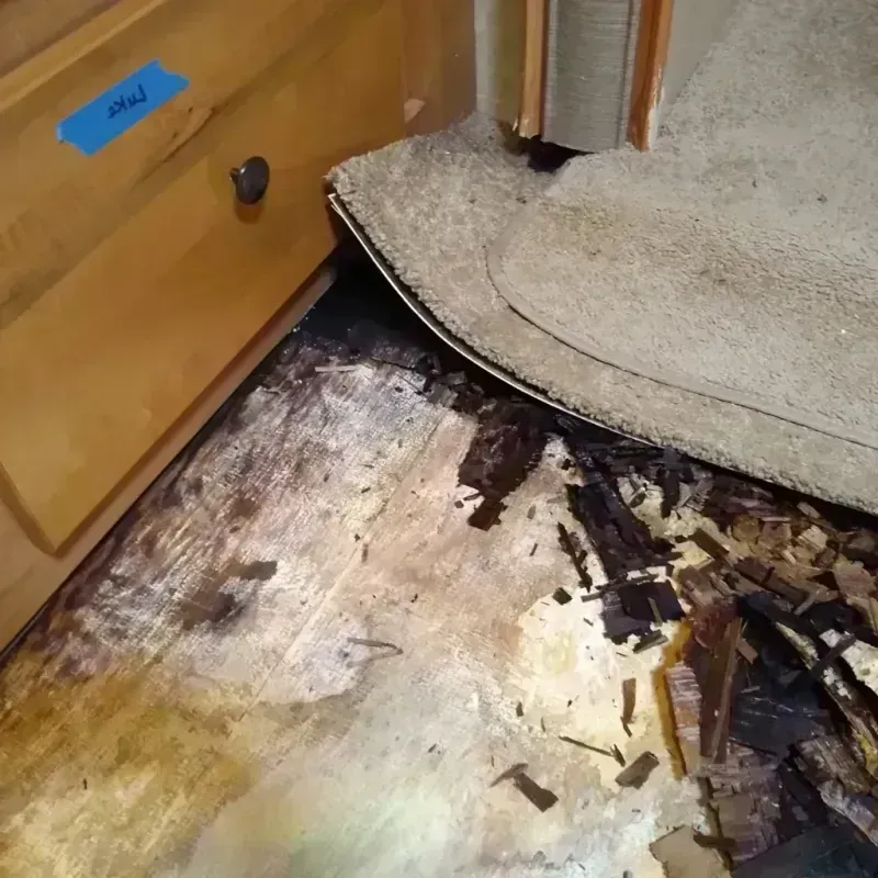 Wood Floor Water Damage in Bayshore Gardens, FL